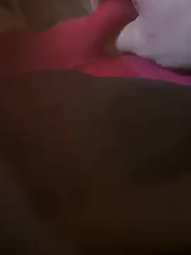 Fjome online show from 11/15/25, 08:00