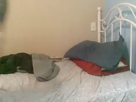 SmokingSloth online show from 03/09/25, 05:06