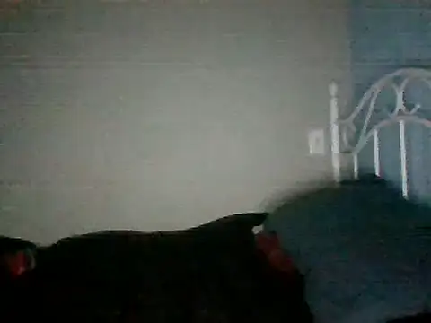 SmokingSloth online show from 03/16/25, 11:27