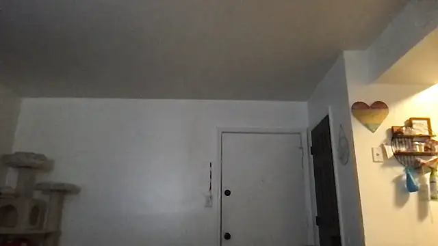 SpunCandy online show from 01/17/26, 03:17