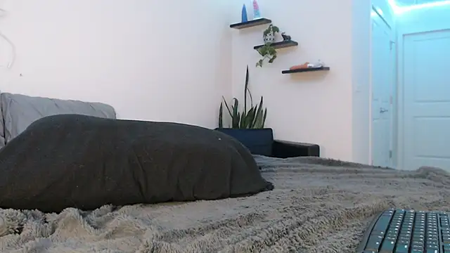 fallongrayxo online show from 03/08/25, 11:28