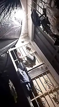 SheandDog online show from 12/10/24, 08:51