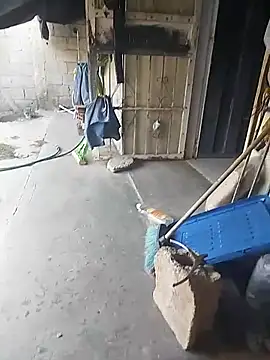 SheandDog online show from 12/18/24, 07:19