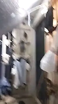 SheandDog online show from 12/18/24, 11:51