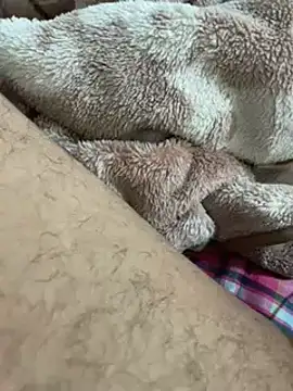 Snapshot of 34mert343431 chatting on 01/21/25, 01:08 34mert343431 online show from 01/21/25, 01:08