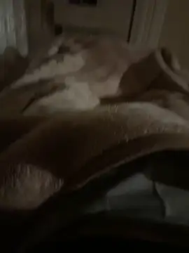 Snapshot of 34mert343431 chatting on 02/05/25, 03:45 34mert343431 online show from 02/05/25, 03:45