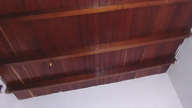 Amara Red online show from 09/13/25, 03:01