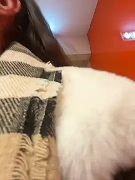 beautydiamond online show from 01/20/25, 10:51