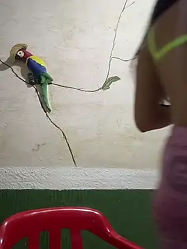 Karla-sexy01 online show from 01/04/25, 03:07