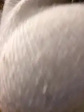 Giuliana baby online show from 03/10/25, 09:21