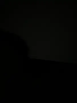 vienncica online show from 01/14/25, 05:40