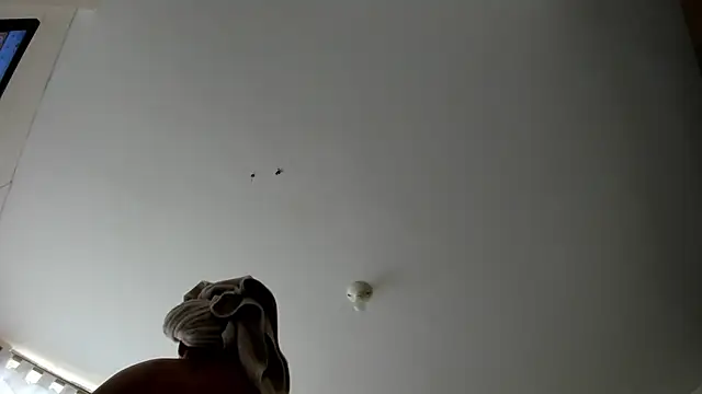 evely coelloo online show from 09/09/25, 09:14