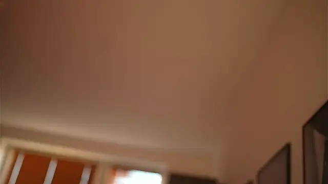 Snapshot of Bellis_Perenis chatting on 12/28/24, 08:37 Bellis Perenis online show from 12/28/24, 08:37