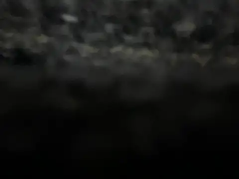 Snapshot of _my_ass_ chatting on 02/09/25, 10:00 my ass online show from 02/09/25, 10:00