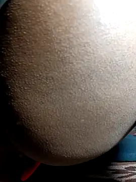 Fucker boy 1 online show from 12/24/24, 08:38