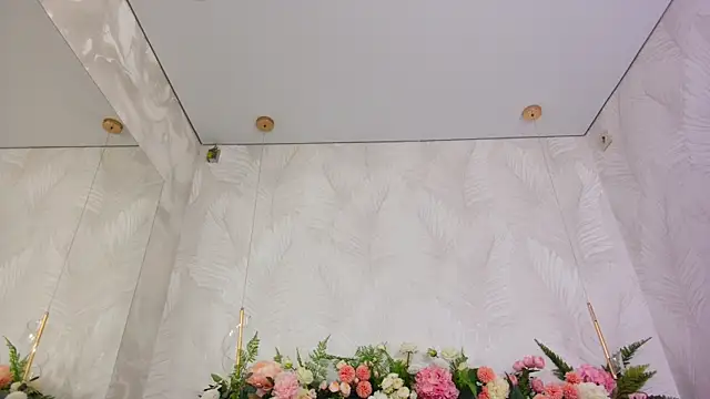 AliceBrayan online show from 12/19/25, 05:09