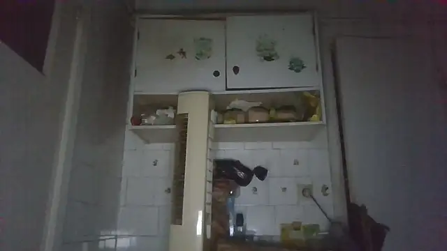 mariusica1xh online show from 03/13/26, 04:08