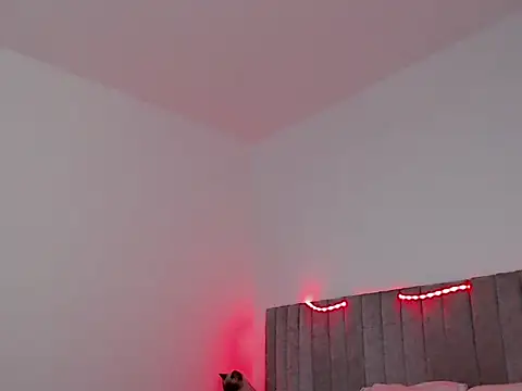 thomas gun online show from 11/07/25, 01:49