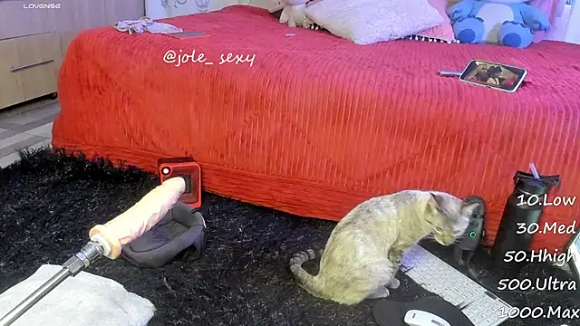 Snapshot of jolee__ chatting on 01/10/25, 06:31 jolee online show from 01/10/25, 06:31