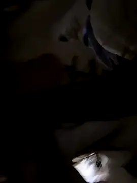 Snapshot of Sweet-Angel999 chatting on 11/30/25, 05:28 Sweet-Angel999 online show from 11/30/25, 05:28