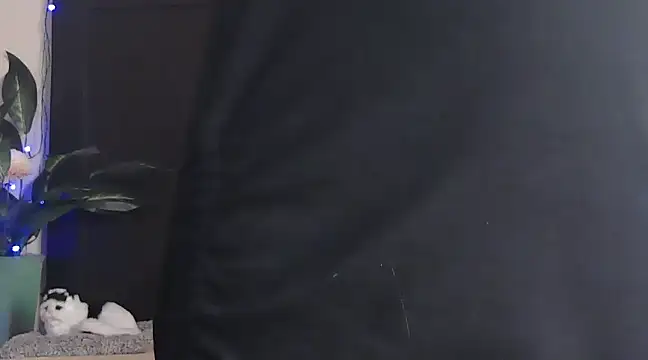 WildRuhi20 online show from 01/25/25, 11:13