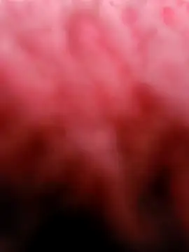 eric69 69 online show from 03/05/25, 03:29