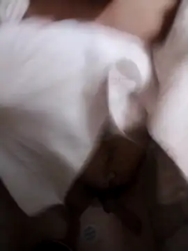 Snapshot of Professor_Leo_ chatting on 02/02/26, 02:54 Professor Leo online show from 02/02/26, 02:54