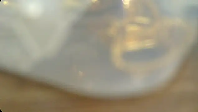 Rashisharma online show from 10/14/25, 12:06