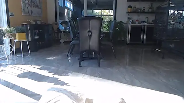 Toy-Daddy online show from 10/28/25, 06:43