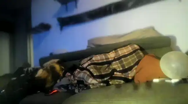 P4RtYBOII92 online show from 02/01/25, 10:55