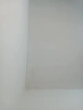 Snapshot of igor_miller20 chatting on 02/01/25, 09:29 igor miller20 online show from 02/01/25, 09:29