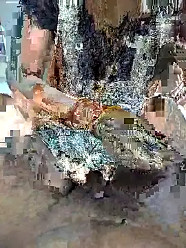 FeltedEuropium online show from 11/22/25, 09:19