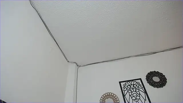 paytonbailey online show from 03/04/25, 05:03