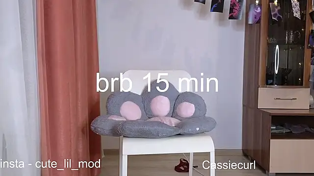 art phoenix online show from 12/01/24, 07:36