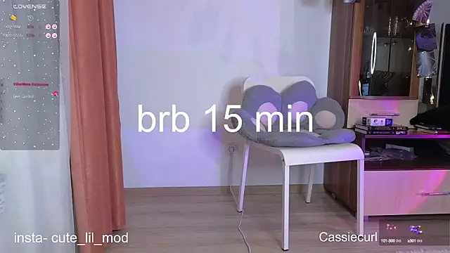 art phoenix online show from 02/28/25, 08:07