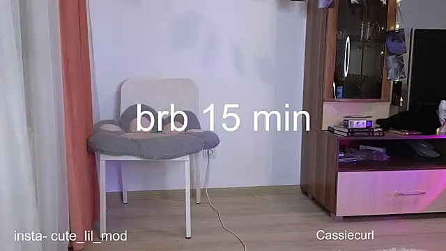 art phoenix online show from 03/07/25, 09:06