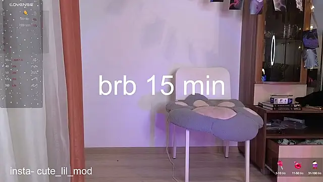 art phoenix online show from 03/11/25, 10:20