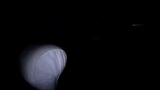 Snapshot of byakkotorra chatting on 03/05/25, 09:48 byakkotorra online show from 03/05/25, 09:48