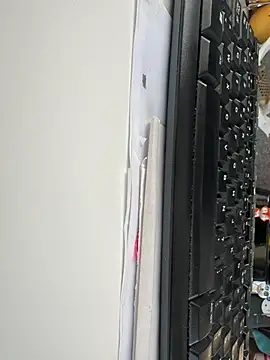 Snapshot of byakkotorra chatting on 03/06/25, 04:38 byakkotorra online show from 03/06/25, 04:38