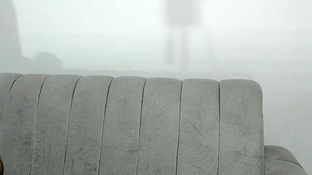 laly mariana online show from 11/22/25, 01:37