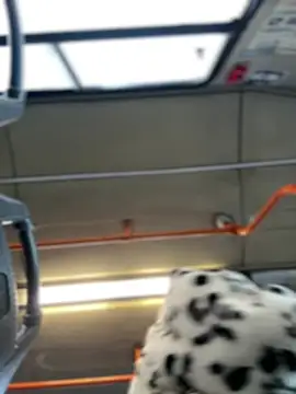 Milkyy wway online show from 01/19/25, 07:36