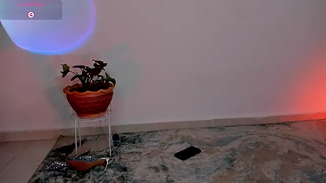 wendymoah online show from 01/08/25, 06:09