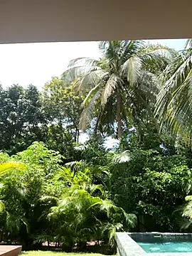 Olivia Collins1 online show from 09/16/25, 04:52