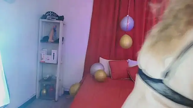 Snapshot of girl_amada chatting on 02/10/26, 08:24 girl amada online show from 02/10/26, 08:24