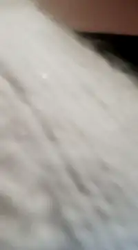 JAWHARA  online show from 12/15/24, 08:04