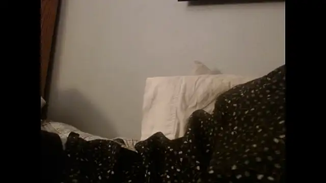 Snapshot of VanceFontaine chatting on 10/27/25, 11:25 VanceFontaine online show from 10/27/25, 11:25