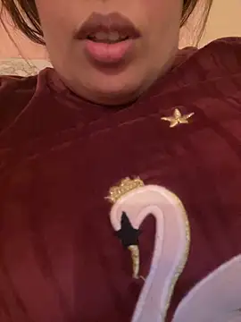 Snapshot of Samarr_9and chatting on 12/20/24, 11:10 Samarr 9and online show from 12/20/24, 11:10