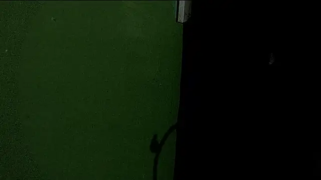 Snapshot of Deleon1995 chatting on 01/02/25, 04:52 Deleon1995 online show from 01/02/25, 04:52