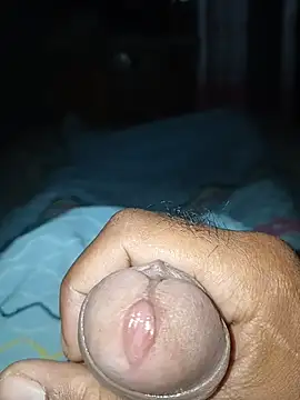 taylorWiiz online show from 12/16/25, 11:15