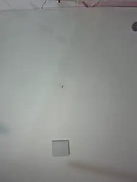 kiim taaylor online show from 02/25/26, 11:31